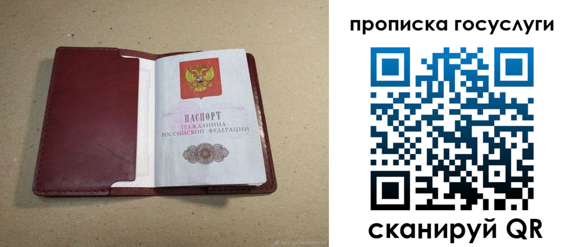 прописка поиск в Каргополе